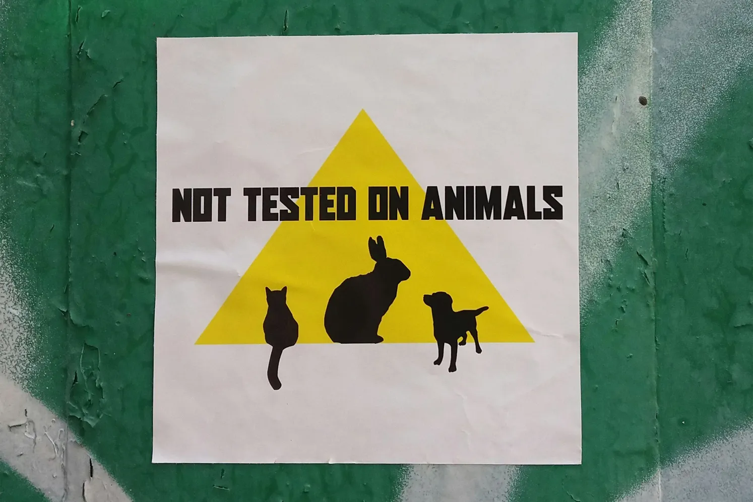 Jak rozpoznać kosmetyki nietestowane na zwierzętach? Znak cruelty-free
