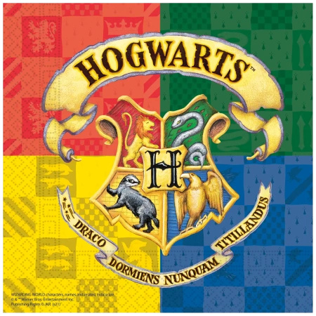 2-ply napkins “Harry Potter”, 33 × 33 cm, 20 pcs