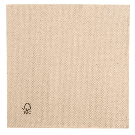 2-ply napkins "Recycled" 30 x 30 cm 50 pcs.