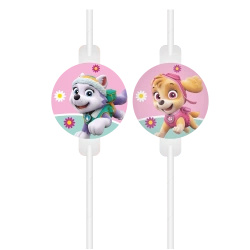 Paper Straws Paw Patrol Skye & Everest, 22 cm, 4 pcs.