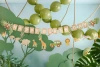 Baner papierowy "Happy Birthday Safari", 1,8 m, 1 szt.