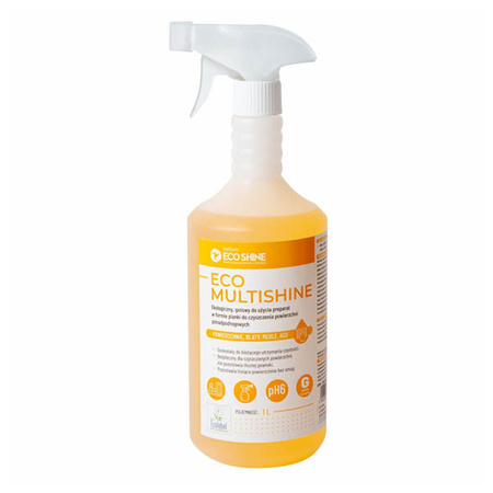 Eco Shine 1L all-purpose foam for cleaning various surfaces, 1 pc.