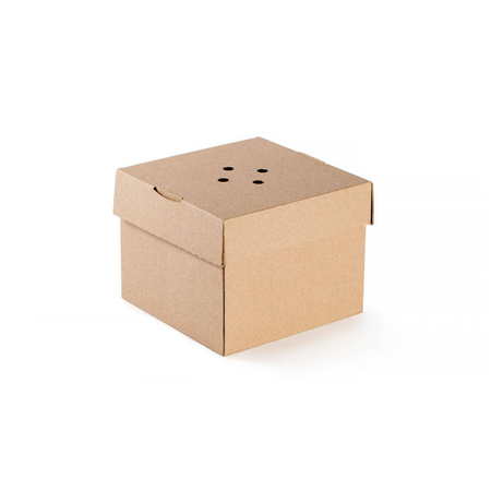 Burger box folding 13 x 13 x 10 cm 100 pcs.