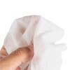 Wet wipes 100% Flushable 7 x 10 cm 300 pcs.