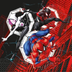 2-ply napkins “Spider-Man”, 33 × 33 cm, 20 pcs