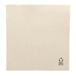 2-ply napkins "Recycled" 33 x 33 cm 50 pcs.