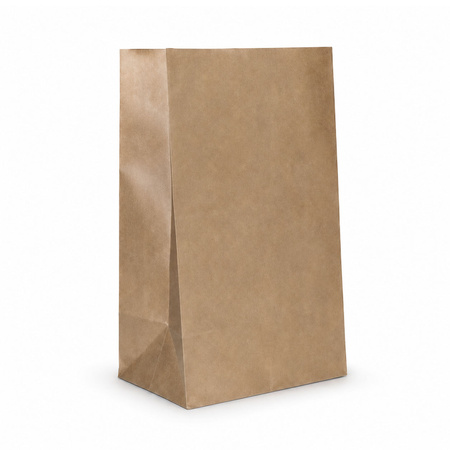 Torba papierowa 21,5 x 12 x 30,5 cm 525 szt.