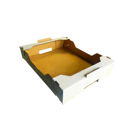 Transport carton with rim, foldable, for pastries, 40 x 30 x 8 cm, 50 pcs