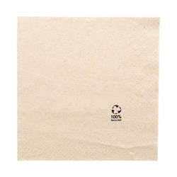 2-ply napkins "Recycled" 30 x 30 cm 100 pcs.