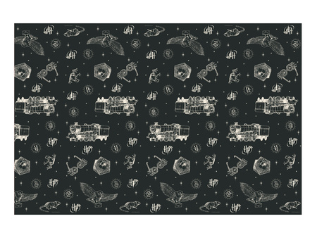 Obrus papierowy "Harry Potter", 120 x 180 cm, 1 szt.