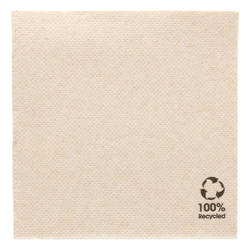 2-ply napkins, embossed, "Recycled" 20 x 20 cm 100 pcs.