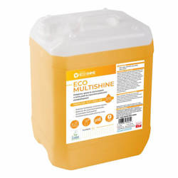 Eco Shine 5L universal foam for cleaning various surfaces, 1 pc.