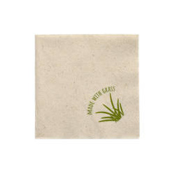 2-layer napkins with grass 24 x 24 cm 250 pcs.