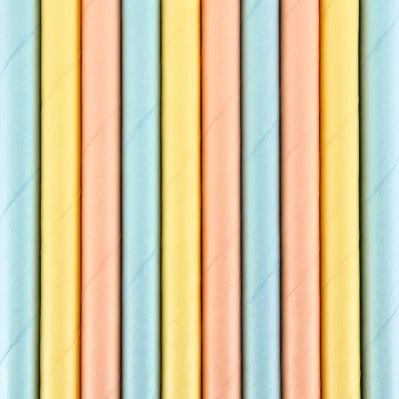 Paper Straws "Summer Time", 19.5 cm, 10 pcs