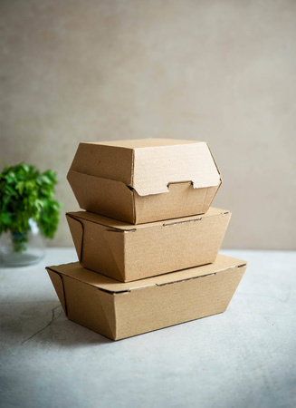 Insulated Cardboard food box 19.5 x 13 x 6 cm, 50 pcs.