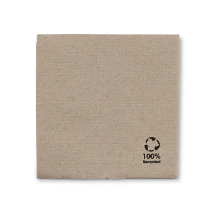 2-ply napkins, embossed, "Recycled" 20 x 20 cm 100 pcs.