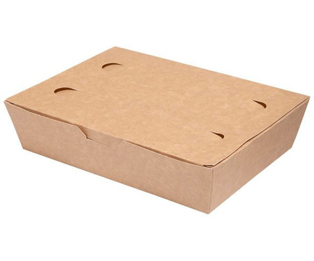 Food box duży 20 x 14 x 5 cm 100 szt.