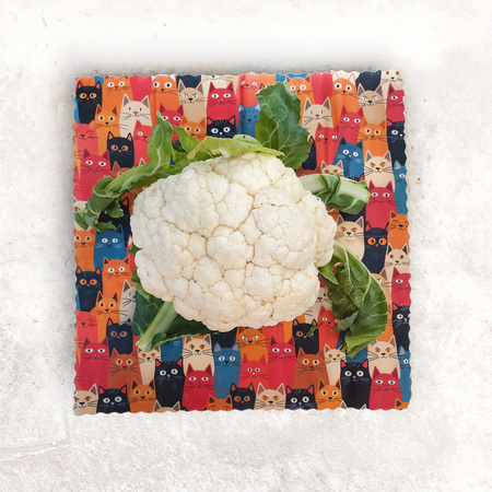 Woskowijka "Koty" rozmiar "L" 36 x 36 cm 1 szt.