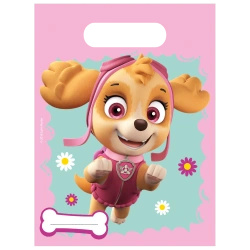 Plastic bags "Paw Patrol Skye & Everest" 17 x 23 cm 6 pcs