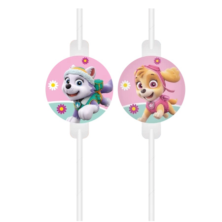 Paper Straws Paw Patrol Skye & Everest, 22 cm, 4 pcs.