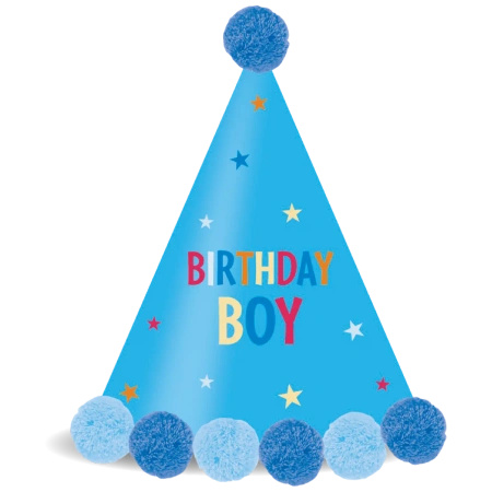 Paper Party Hats Birthday Boy, 1 pcs