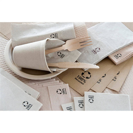 1-ply napkins "Master Servis" 33 x 33 cm 100 pcs.