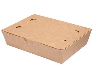 Food box duży 20 x 14 x 5 cm 100 szt.